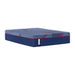 Sealy High Point II Hybrid Mattress - Massey's Furniture Barn (Watertown, NY) 