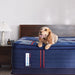 Sealy Albany II Spring Mattress - Massey's Furniture Barn (Watertown, NY) 